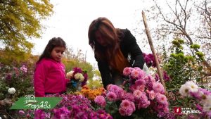 ფერმა 2019 11 24.mp4_001351640