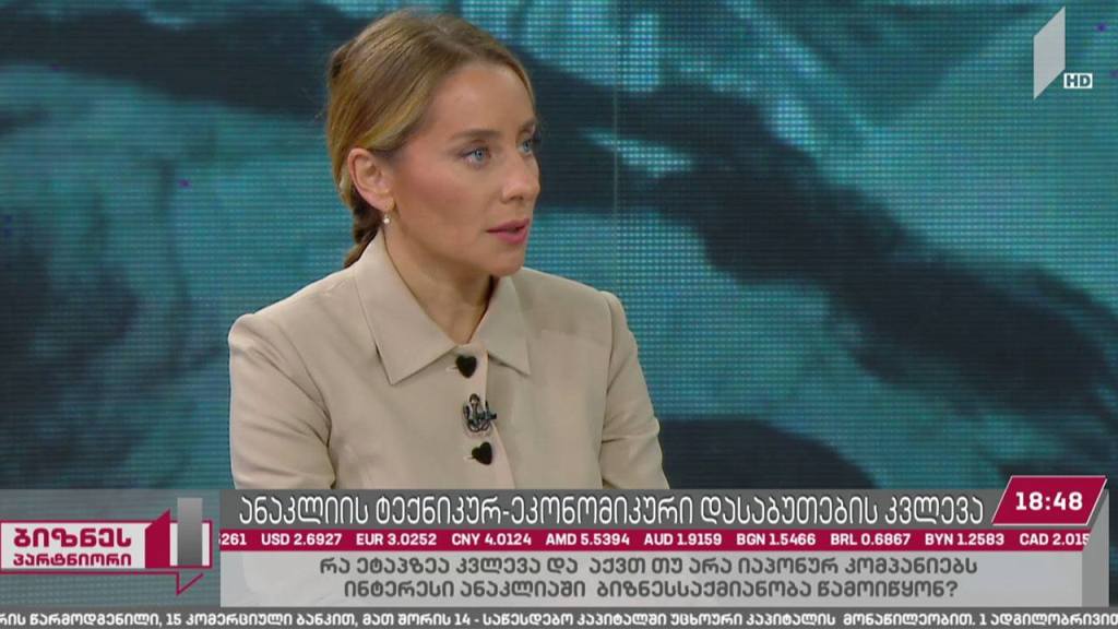 ანაკლიის ტექნიკურ-ეკონომიკური დასაბუთების კვლევა