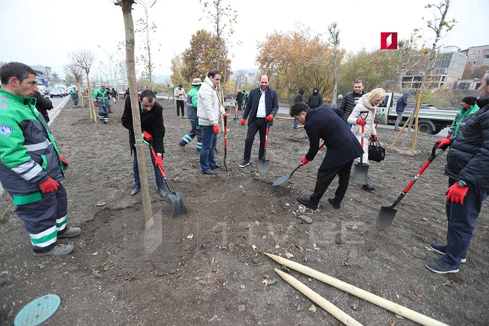 მტკვირს მარცხენა სანაპიროზე გამწვანებითი სამუშაოები მიმდინარეობს