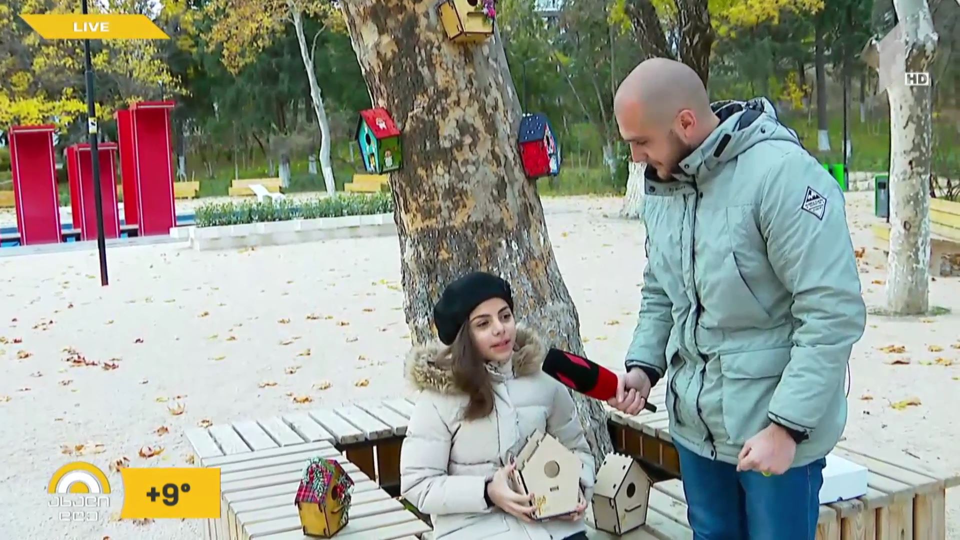 მოხატული ჩიტის სახლები - ხისგან დამზადებული ორიგინალური სათამაშო პრაქტიკული დანიშნულებით