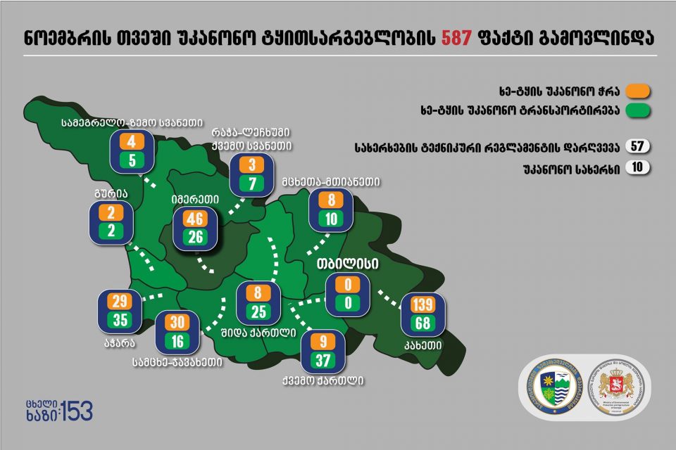 ნოემბერში უკანონო ტყითსარგებლობის 587 ფაქტი გამოვლინდა