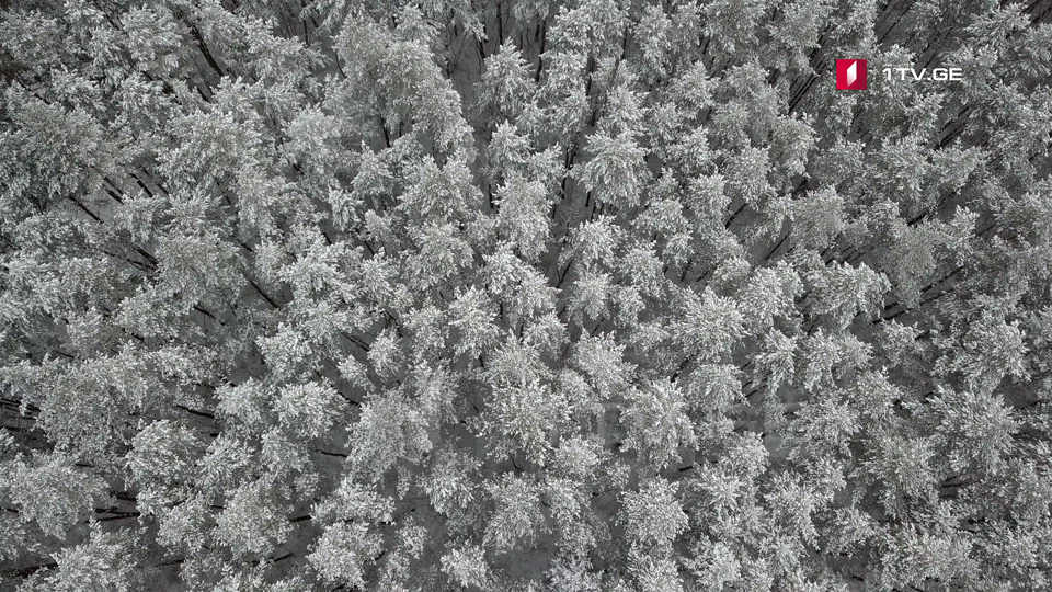 Dekabrın 6-7-də, gecə saatlarında hava temperaturu əhəmiyyətli dərəcədə düşəcək