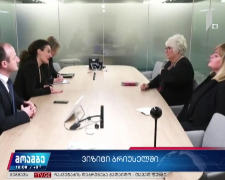 ქეთევან ციხელაშვილის ვიზიტი ბრიუსელში