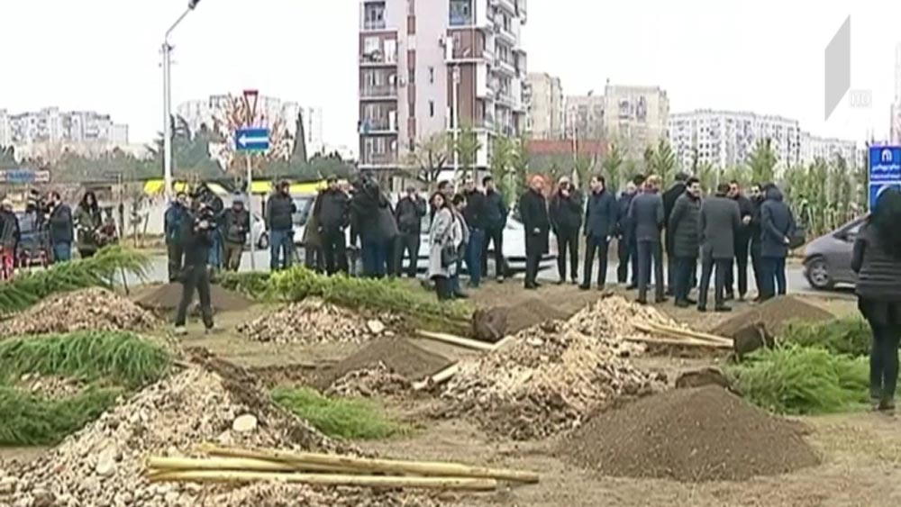 გამწვანების აქცია