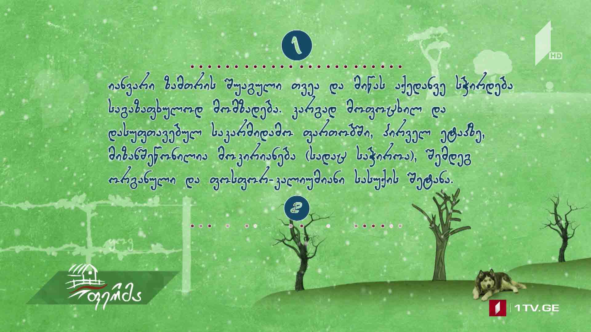 #უკეთრომაკეთო იანვარში ბაღ-ბოსტანში ჩასატარებელი სამუშაოები