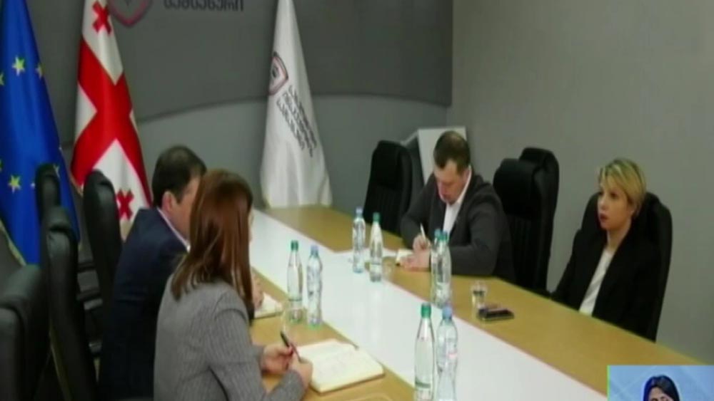 მოზარდის გარდაცვალების საქმე - შეხვედრა პარლამენტში