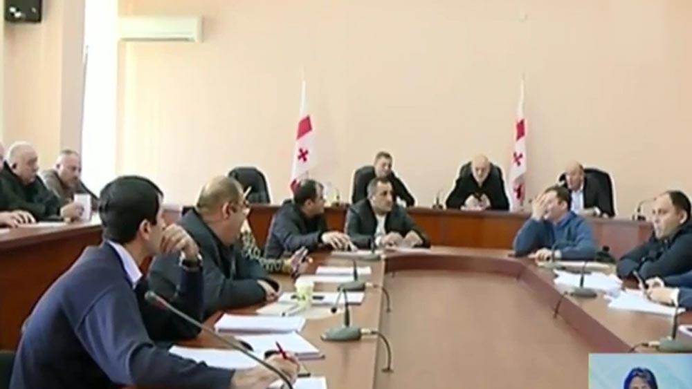 გორის საკრებულოს სხდომა