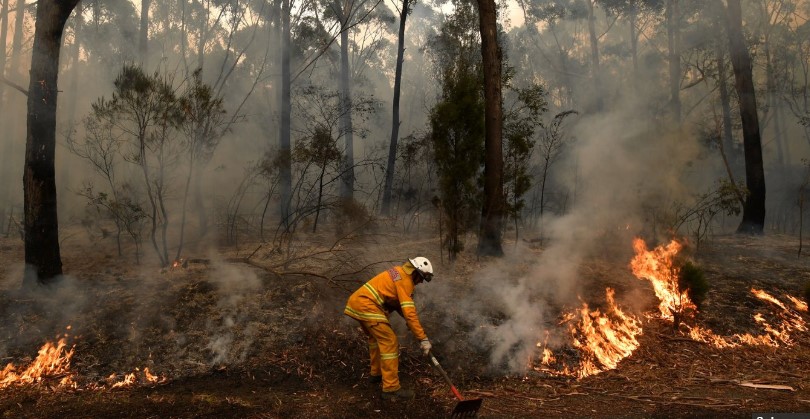 ადგილობრივი მედიის ინფორმაციით, ავსტრალიაში ტყის ხანძრის განზრახ გაჩენასთან დაკავშირებით 183 ადამიანი დააკავეს