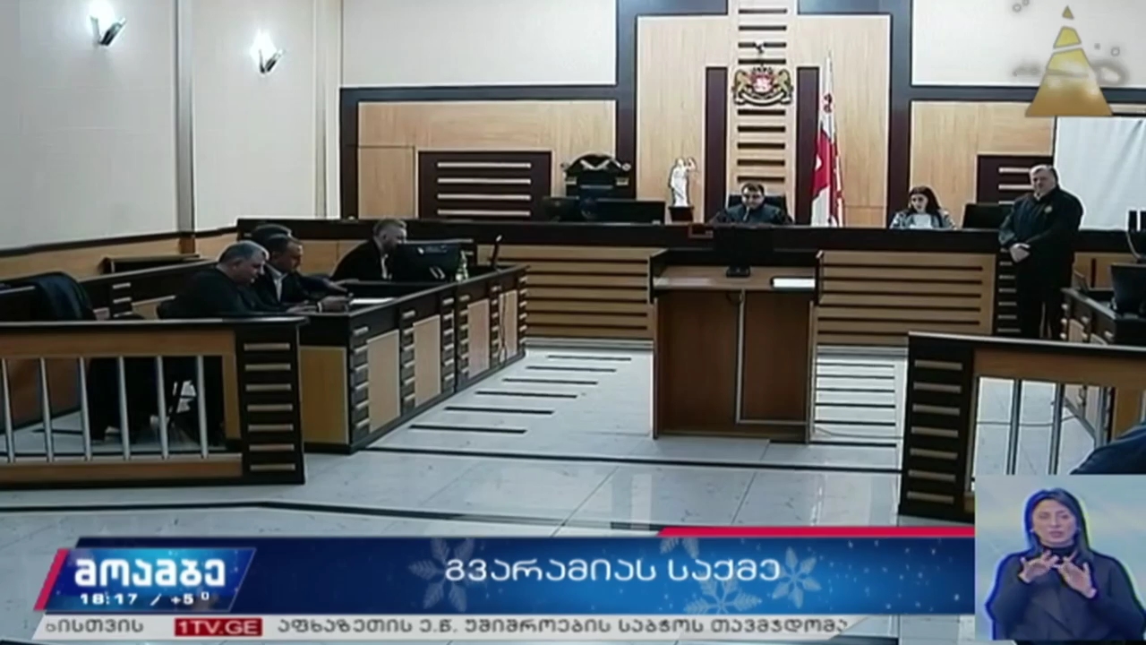 ნიკა გვარამიას საქმე