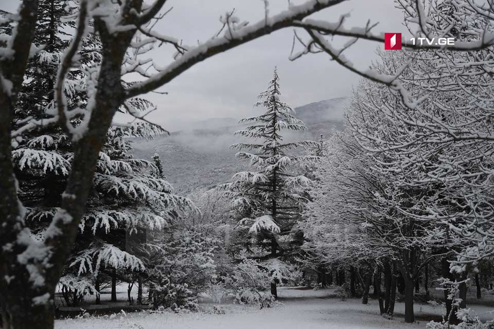 საქართველოში 23-25 იანვარს თოვლია მოსალოდნელი