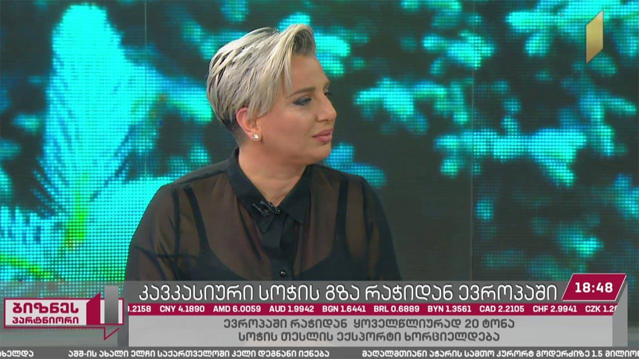 კავკასიური სოჭის თესლი რაჭიდან ევროპაში