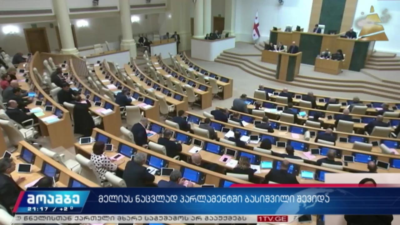 მელიას ნაცვლად პარლამენტში ბასიშვილი შევიდა
