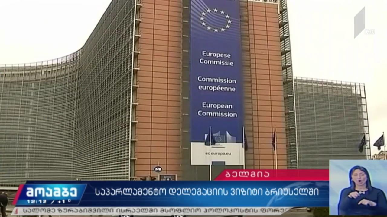 საპარლამენტო დელეგაციის ვიზიტი ბრიუსელში