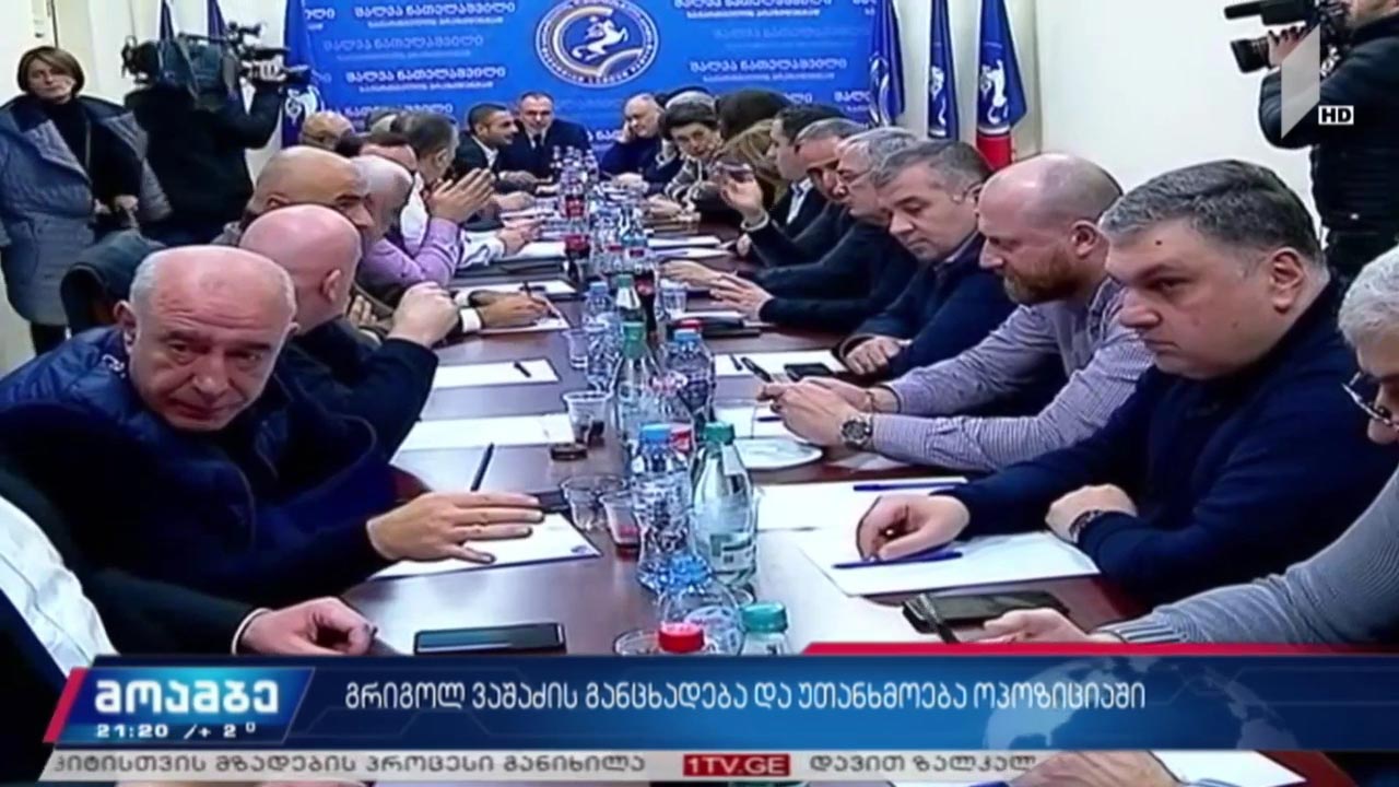 გრიგოლ ვაშაძის განცხადება და უთანხმოება ოპოზიციაში