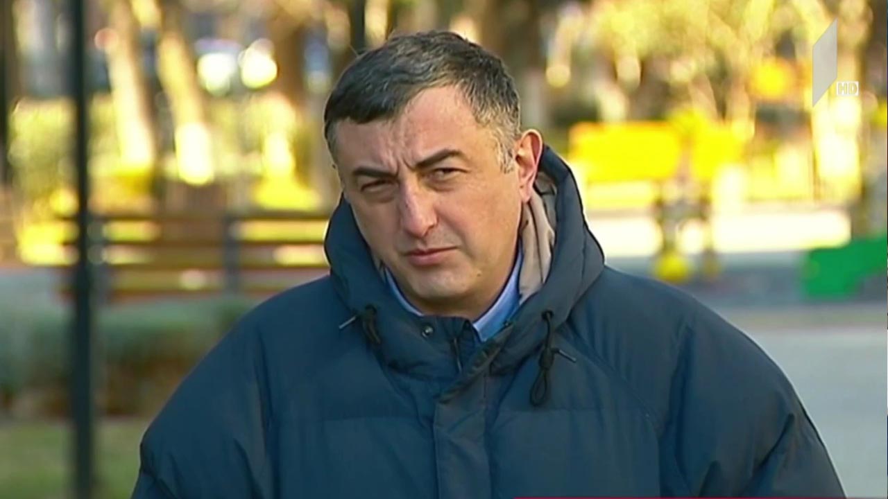 ნინო ლომჯარიას განცხადება - პოლიტიკური შეფასებები