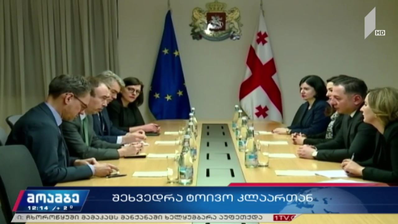 ვახტანგ გომელაური ტოივო კლაარს შეხვდა