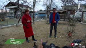 ფერმა 01
