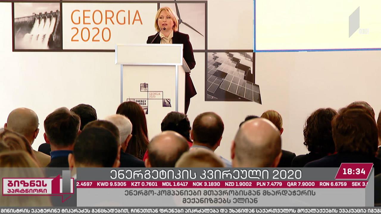 ენერგოკომპანიები სახელმწიფოსგან მხარდაჭერის სქემების შემუშავებას ითხოვენ