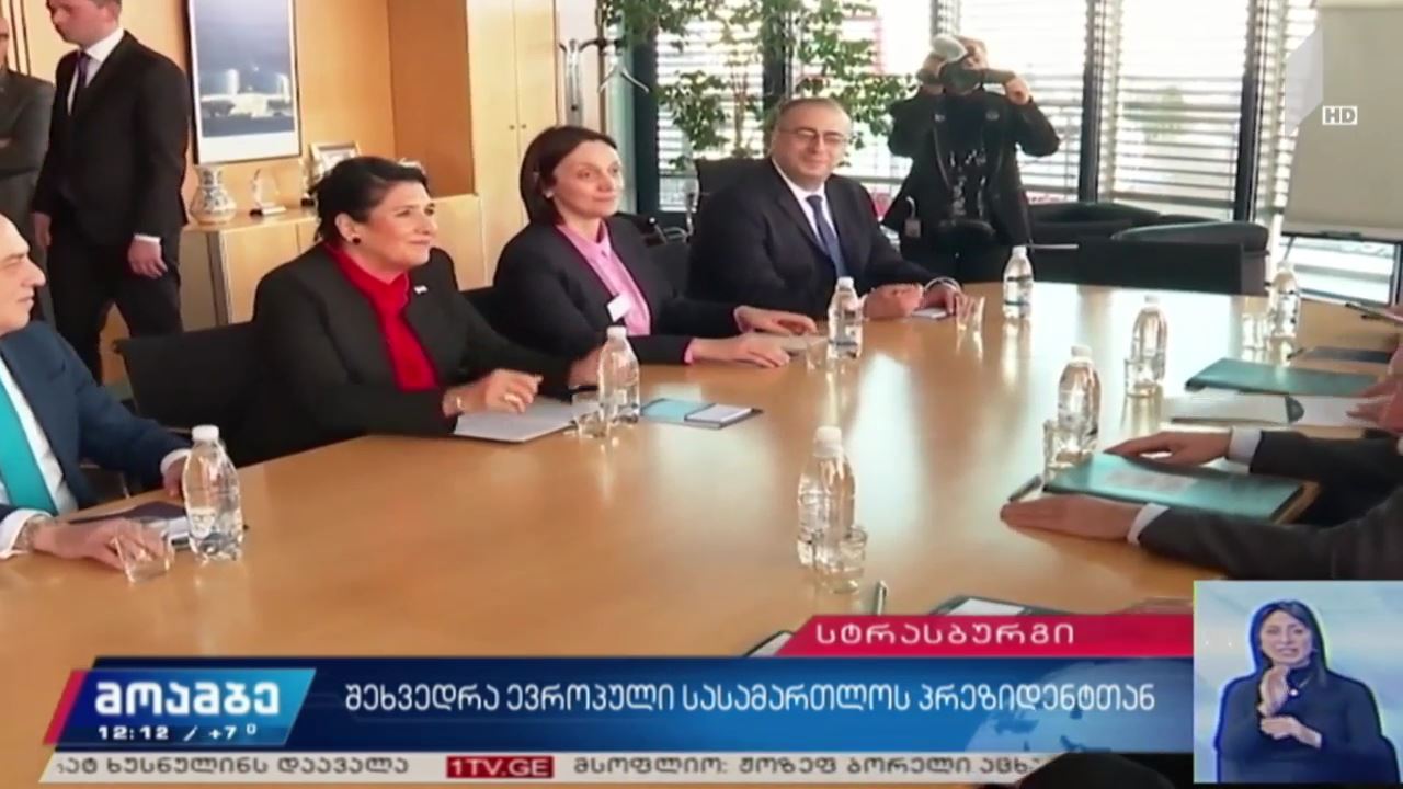 შეხვედრა ევროპული სასამართლოს პრეზიდენტთან