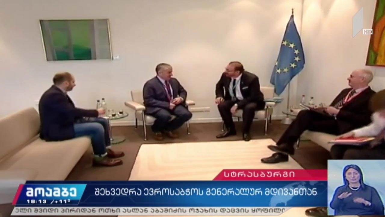 შეხვედრა ევროსაბჭოს გენერალურ მდივანთან