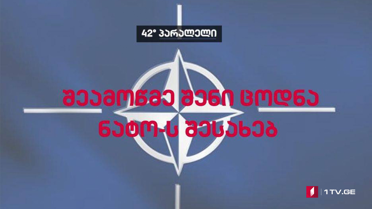 42° პარალელი - შეამოწმე შენი ცოდნა ნატოს შესახებ / #ქვიზი