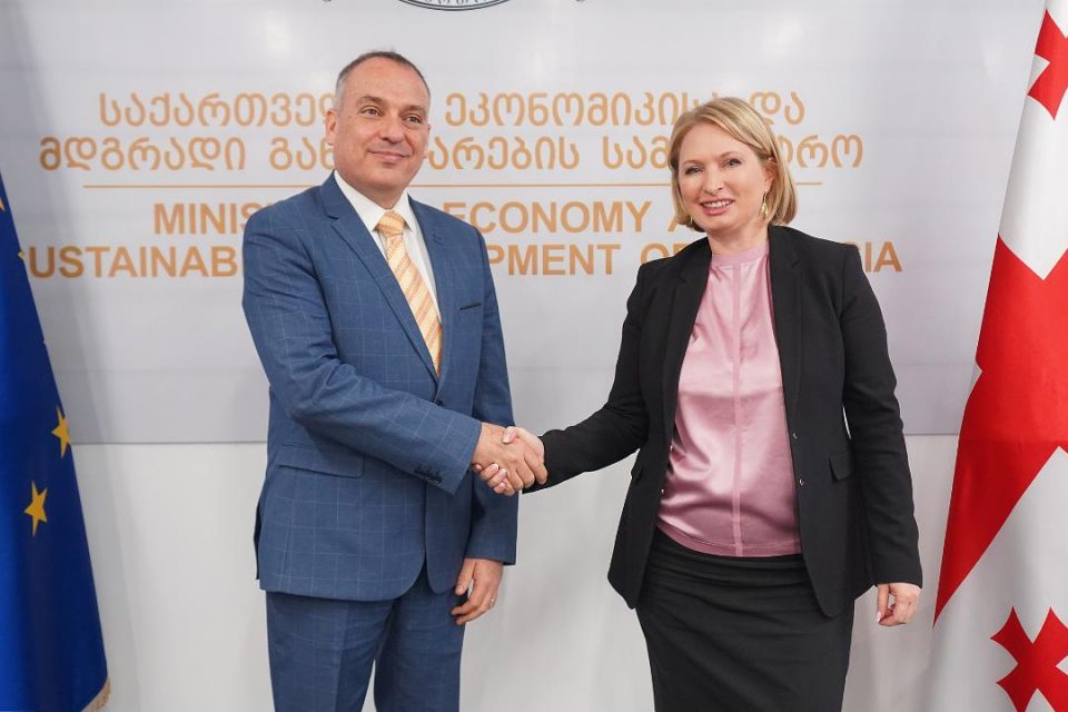 ნათია თურნავა ისრაელის სახელმწიფოს ელჩს, რან გიდორს შეხვდა