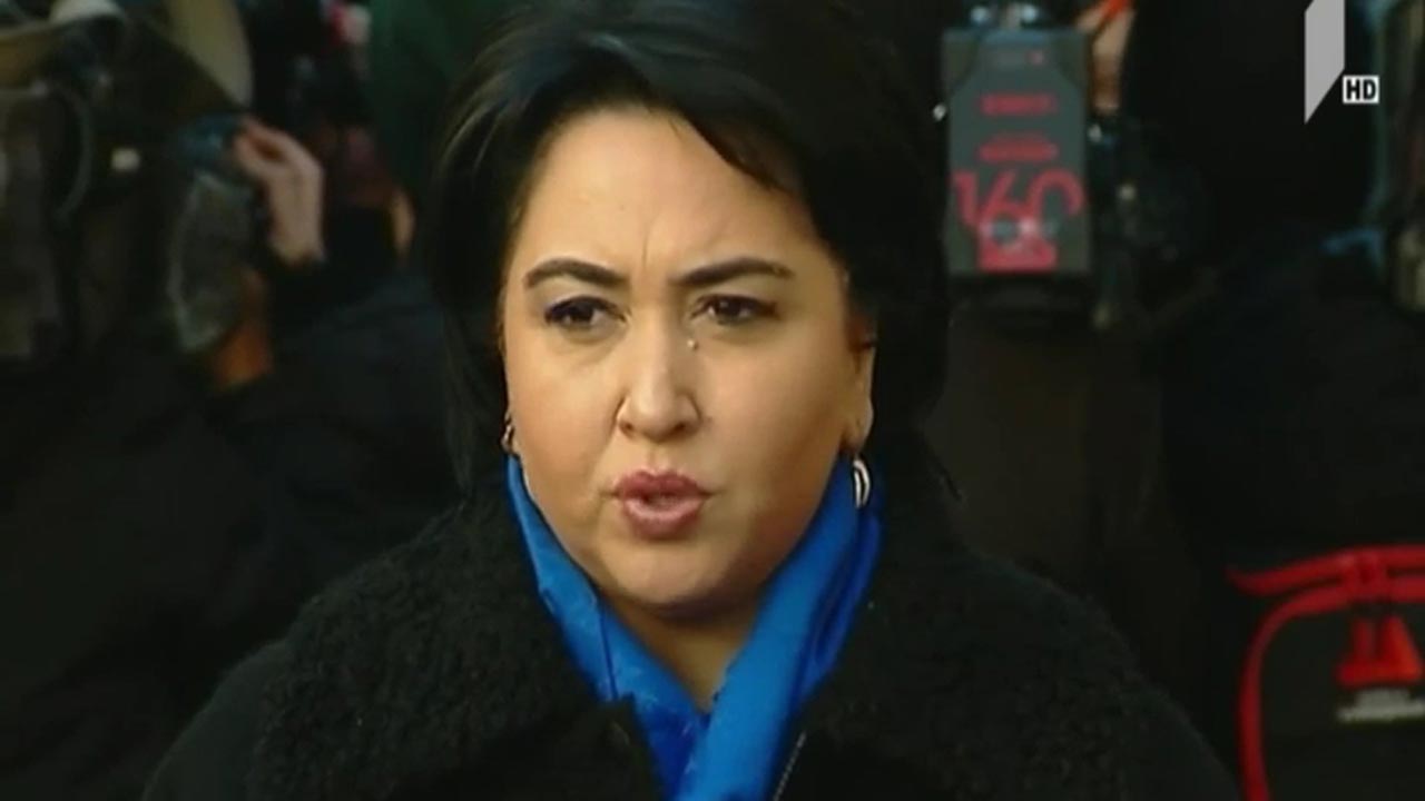 ოპოზიციის გეგმები