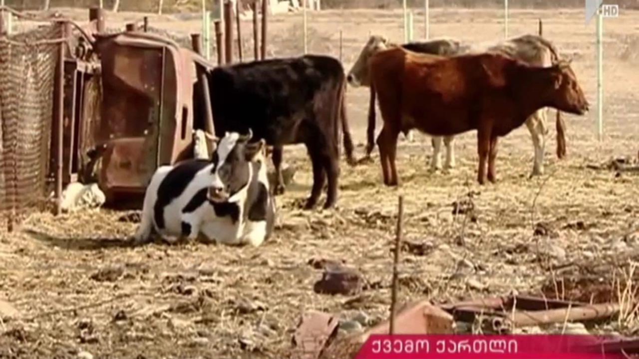 სოფელ მზიანეთის სკვერი 