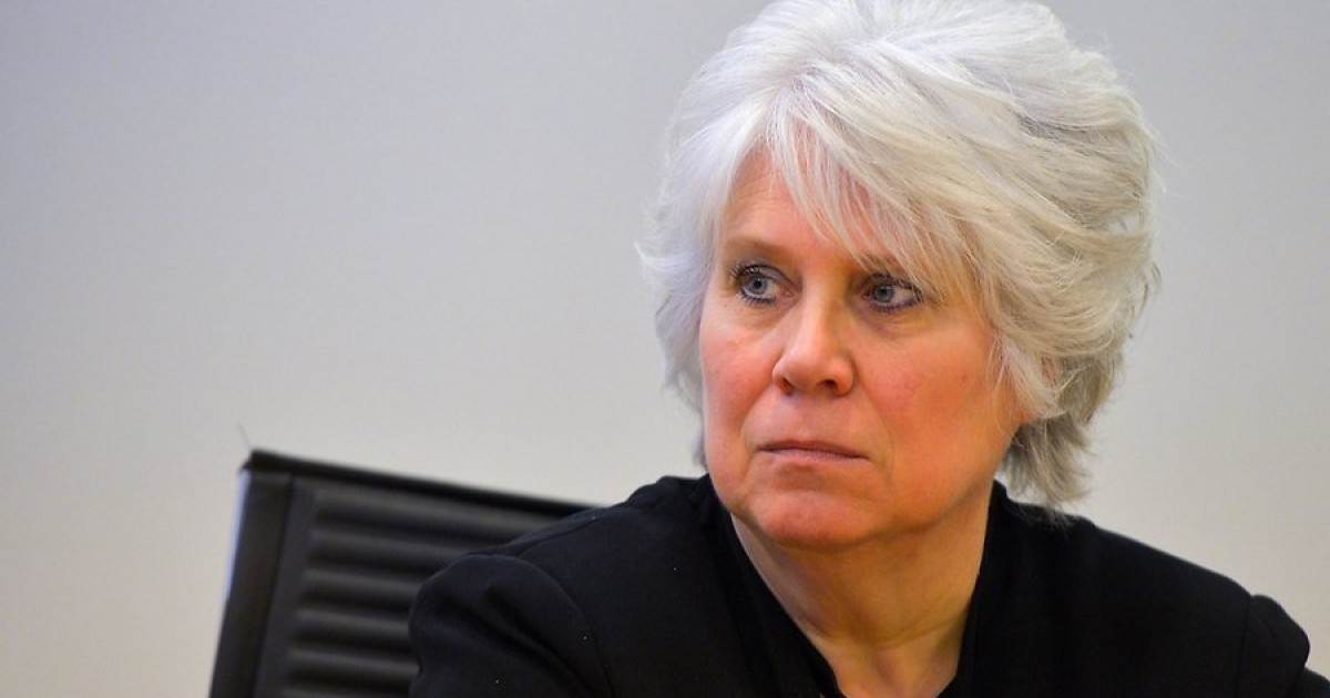 მიხეილ სააკაშვილის გეგმები - ევროპარლამენტარების შეფასება