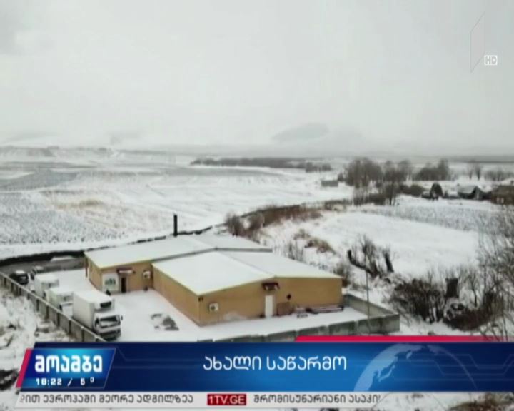 ქვემო ქართლის რეგიონში რძის გადამამუშავებელი საწარმო ამოქმედდა