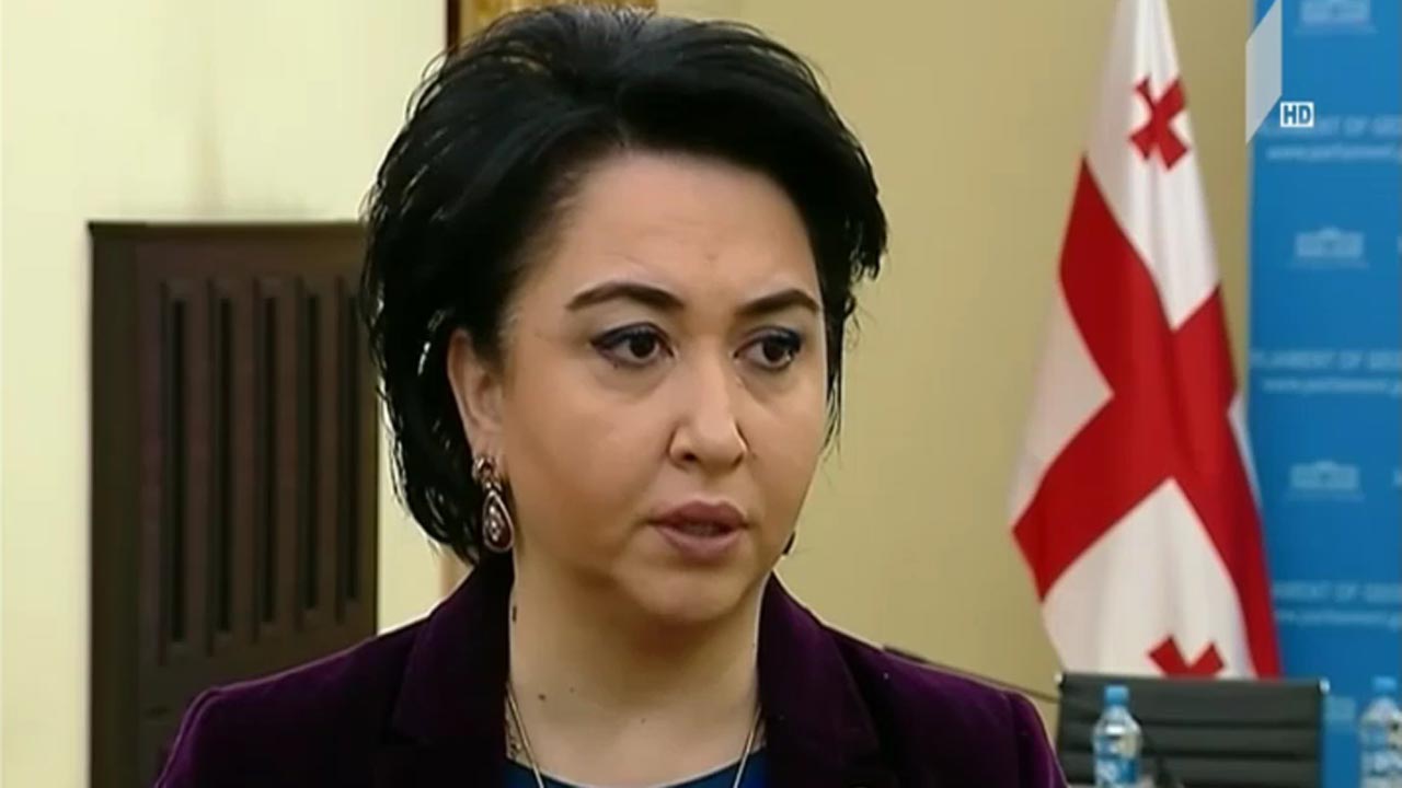 ეკა ბესელიას ინიციატივა