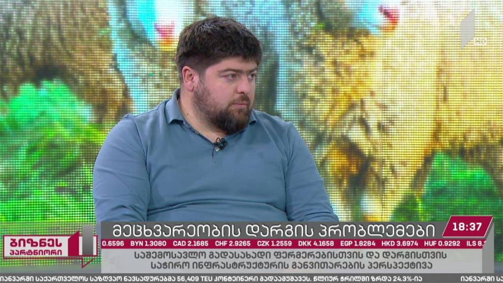 მეცხვარეობის დარგის პრობლემები