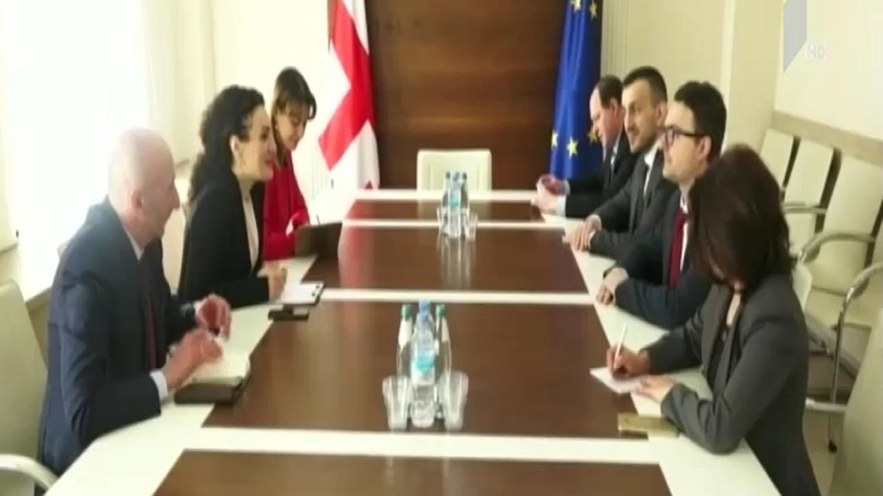 შეხვედრა უკრაინის პრეზიდენტის წარმომადგენელთან