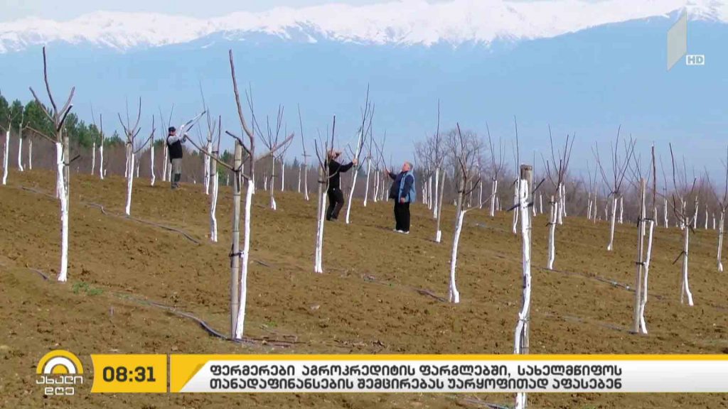 #ბიზნესპარტნიორი აგროკრედიტის ფარგლებში, სახელმწიფოს თანადაფინანსების შემცირებას, ფერმერები უარყოფითად აფასებენ