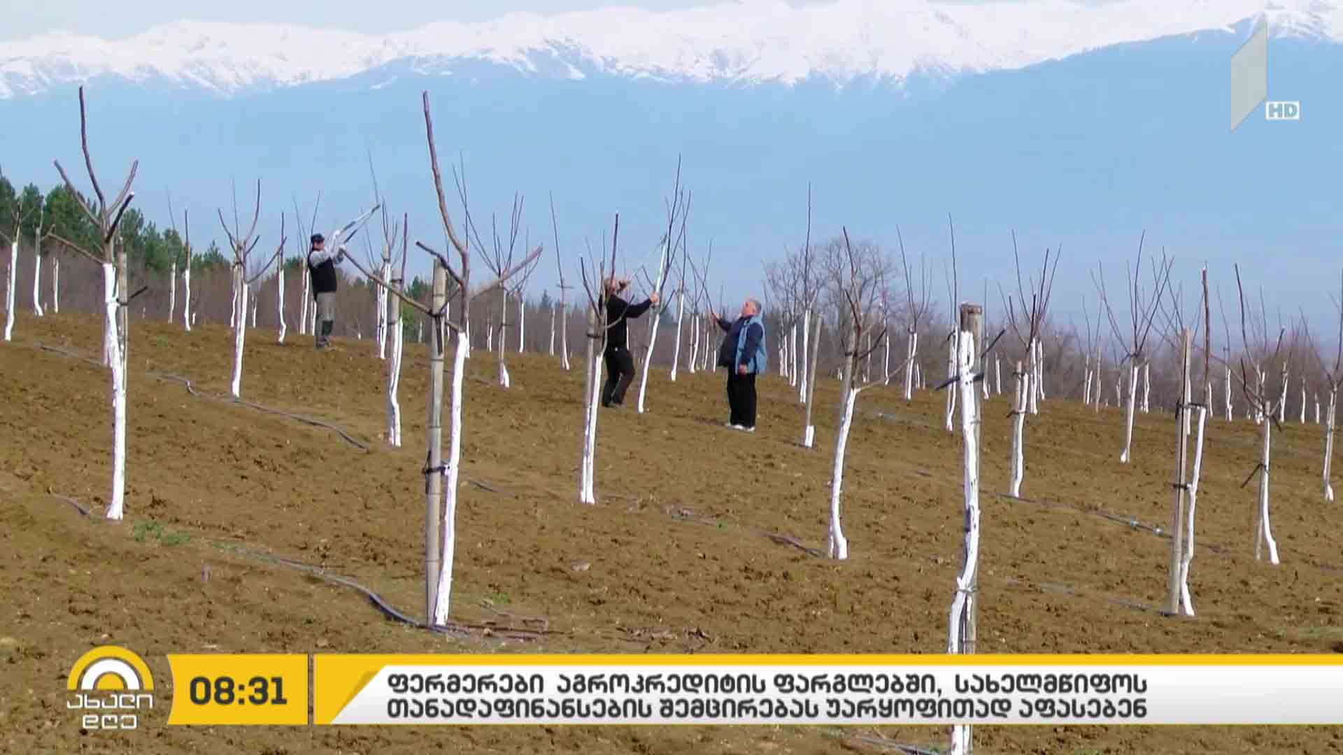 #ბიზნესპარტნიორი აგროკრედიტის ფარგლებში, სახელმწიფოს თანადაფინანსების შემცირებას, ფერმერები უარყოფითად აფასებენ