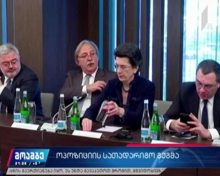 ოპოზიციის სათადარიგო გეგმა