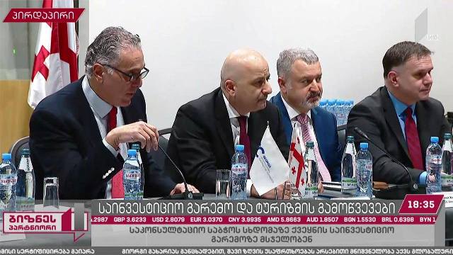 საინვესტიციო გარემო და ტურიზმის სექტორში არსებული გამოწვევები
