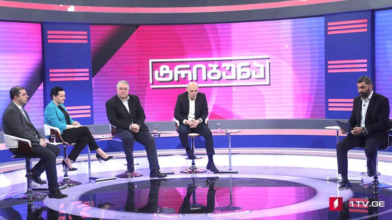 #ტრიბუნა #არჩევნები2020 კონსულტაციები საარჩევნო სისტემაზე #LIVE