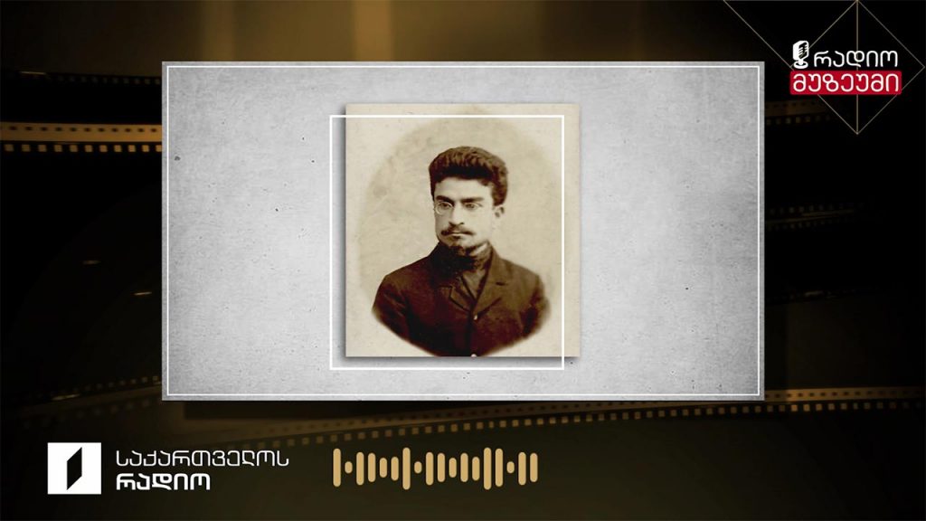 ქართველ აკადემიკოსთა გამოსვლები – ივანე ბერიტაშვილი