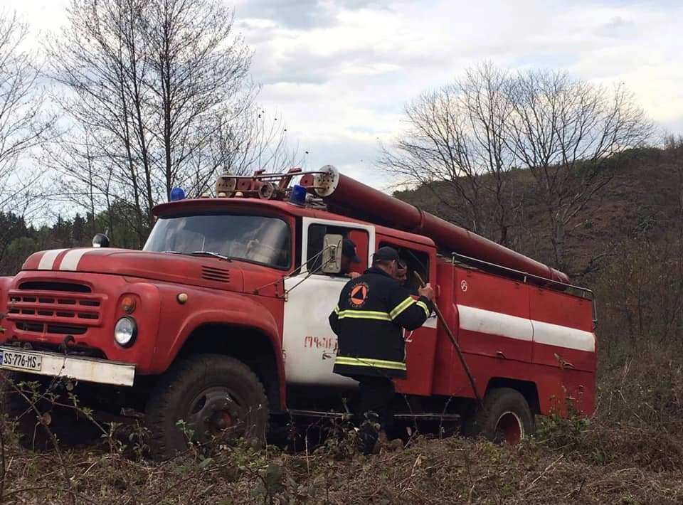 გურიაში, სოფელ ვაკიჯვარში ქარსაცავი ზოლი იწვის