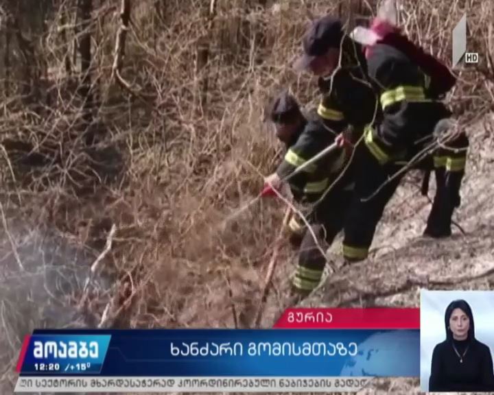 გურიის სოფლებში ხანძარი ლიკვიდირებულია