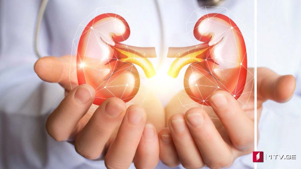 თირკმლის ქრონიკული დაავადებები #პირადიექიმი