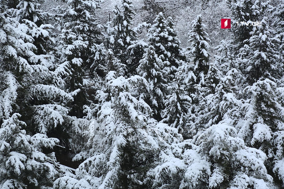 საქართველოში თოვს, ნალექიანი ამინდი ორი დღის განმავლობაში შენარჩუნდება