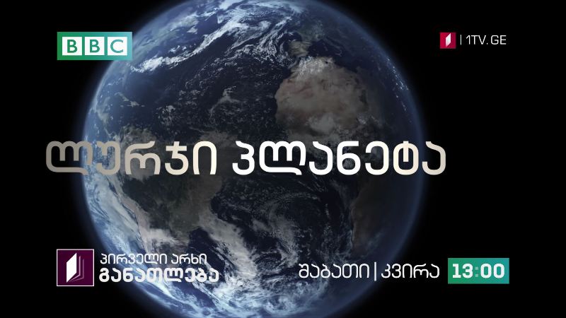 პირველი არხი l განათლება – დოკუმენტური ფილმი „ლურჯი პლანეტა“ – შაბათი | ვირა, 13:00