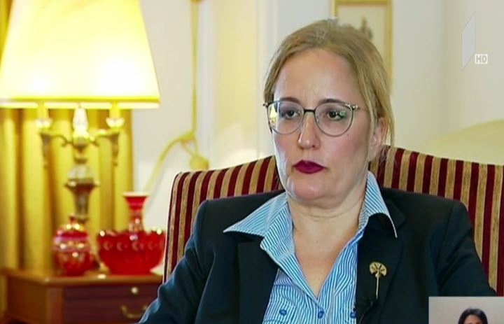 ინტერვიუ საქართველოში თურქეთის ელჩთან