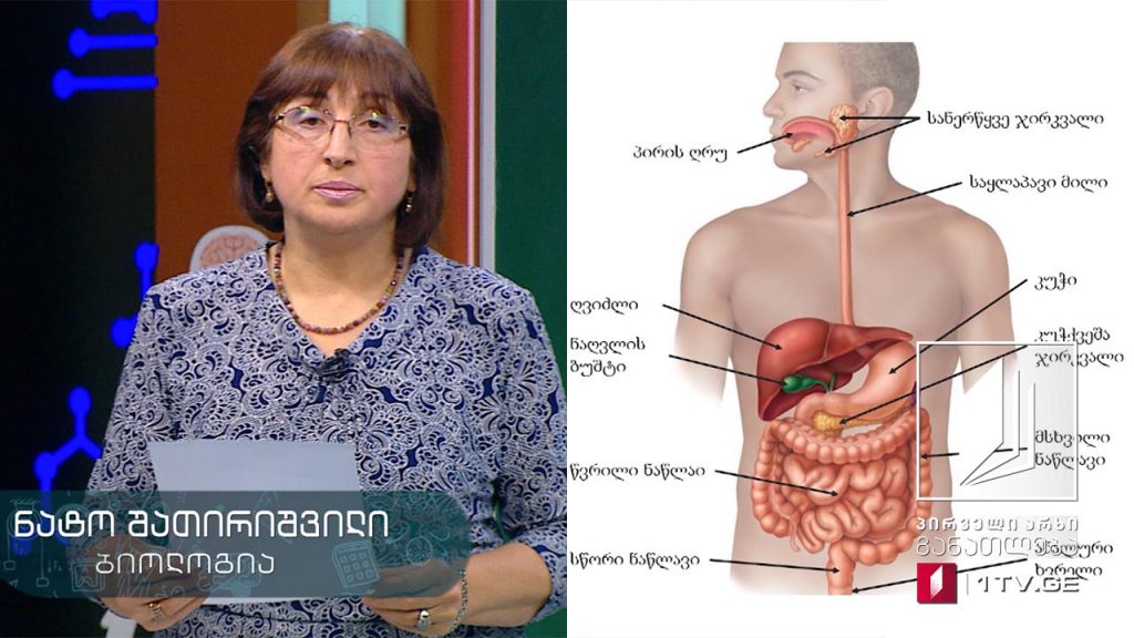 ბიოლოგია, VIII კლასი – მომნელებელი სისტემა, 16 აპრილი, 2020 #ტელესკოლა