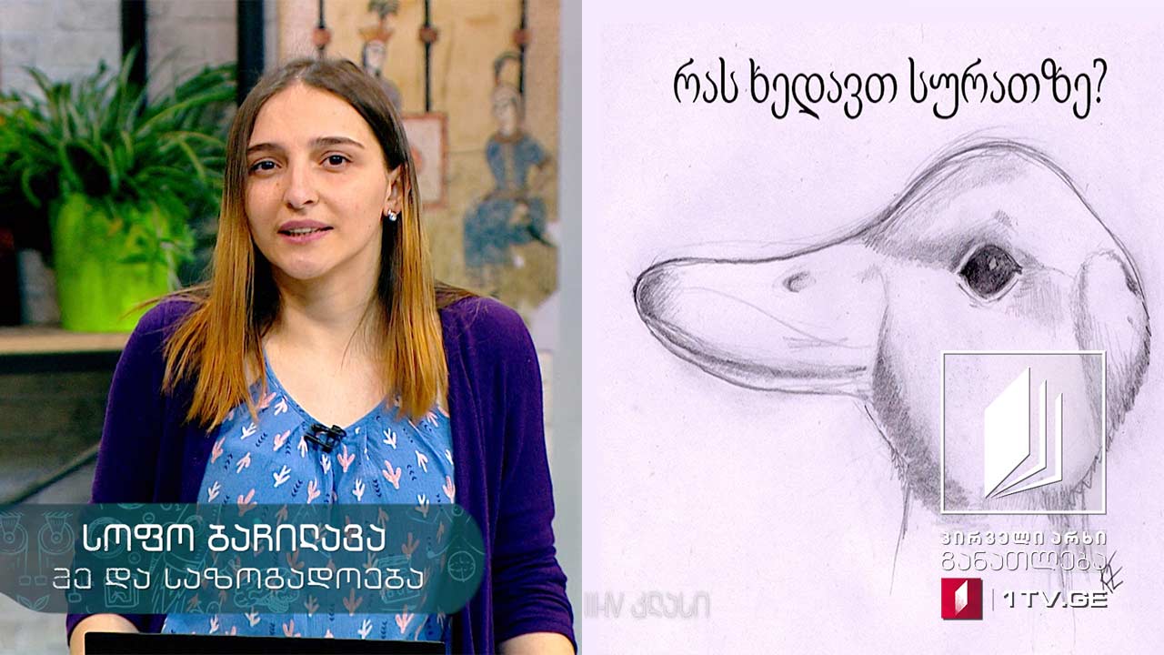მე და საზოგადოება, III-IV კლასი -17 აპრილი, 2020 #ტელესკოლა