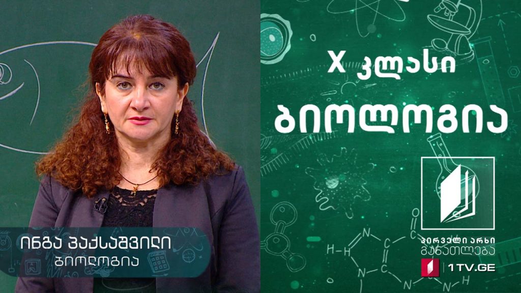 ბიოლოგია, X კლასი – ექსკრეცია და ოსმორეგულაცია, 28 აპრილი, 2020, #ტელესკოლა