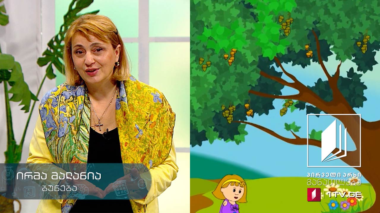 ბუნება, I-II კლასი - მცენარეთა სამყარო, 29 აპრილი, 2020 #ტელესკოლა