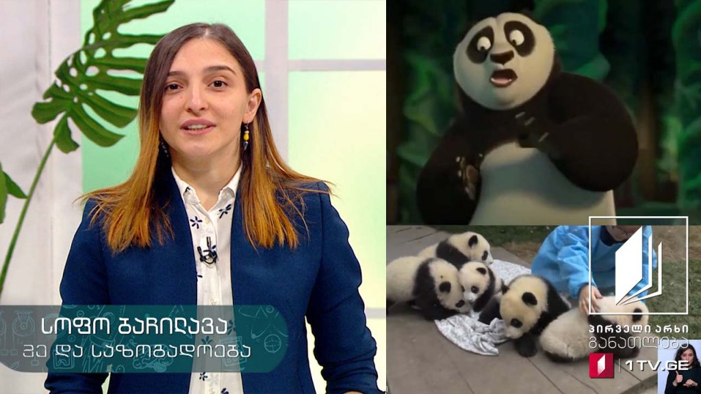 მე და საზოგადოება, III-IV კლასი – პირველი მაისი, 2020 #ტელესკოლა